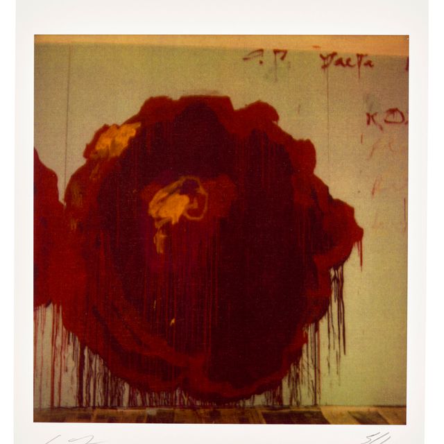 Cy Twombly — Деталь росписи (розы)
