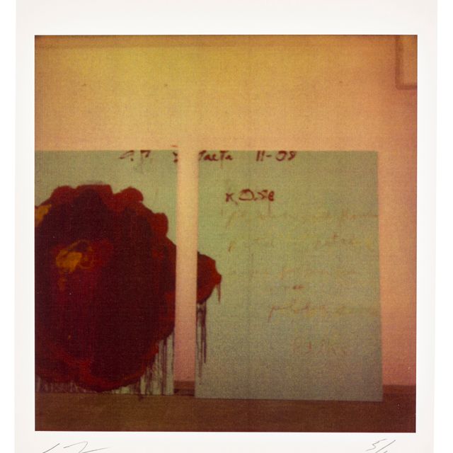 Cy Twombly — Деталь росписи (розы)
