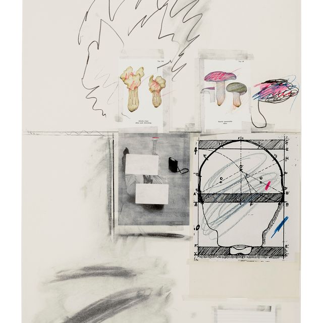 Cy Twombly — Нет. II , из первой части естественной истории: Грибы
