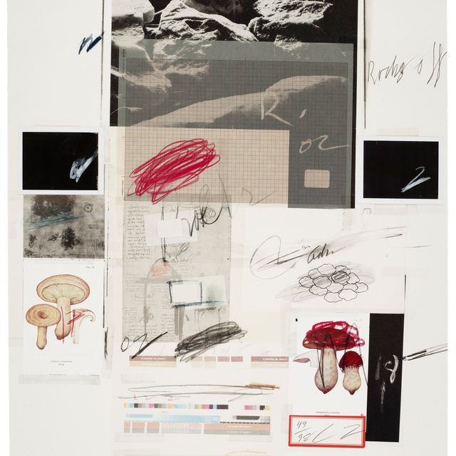 Cy Twombly — № X, из первой части "Естественной истории": Грибы