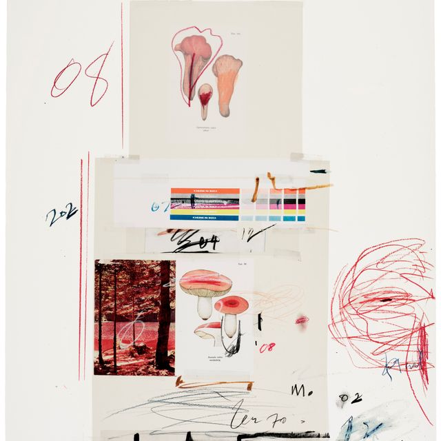 Cy Twombly — № V, из первой части "Естественной истории": Грибы