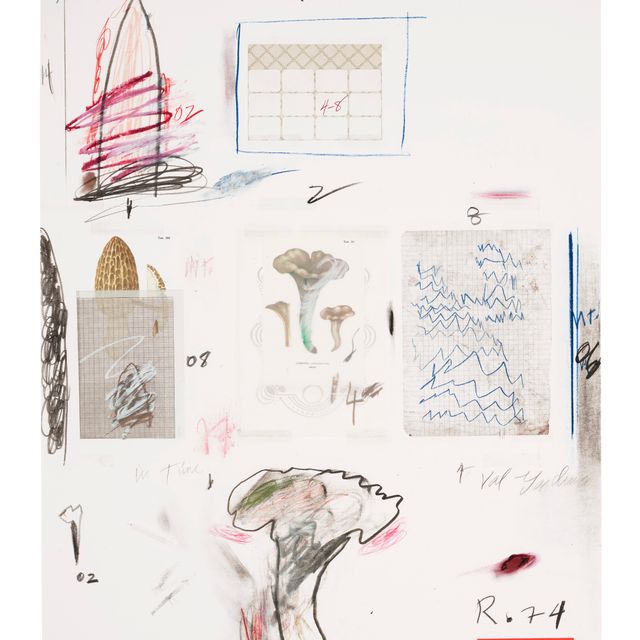 Cy Twombly — Фото VI, из первой части "Естественной истории": Грибы