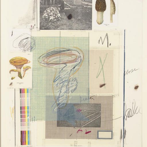 Cy Twombly — Фото VII, из первой части "Естественной истории грибов" (Бастиан, 48)