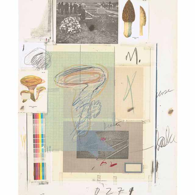Cy Twombly — Фото VII, из: Естественная история, часть I (Бастиан, 48)