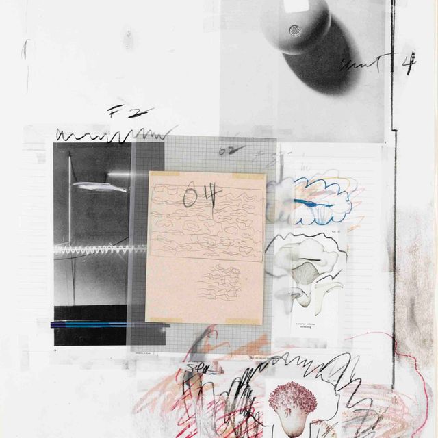 Cy Twombly — Естественная история, часть I, №. VIII, из книги "Грибы, часть I естественной истории" (стр. 49)