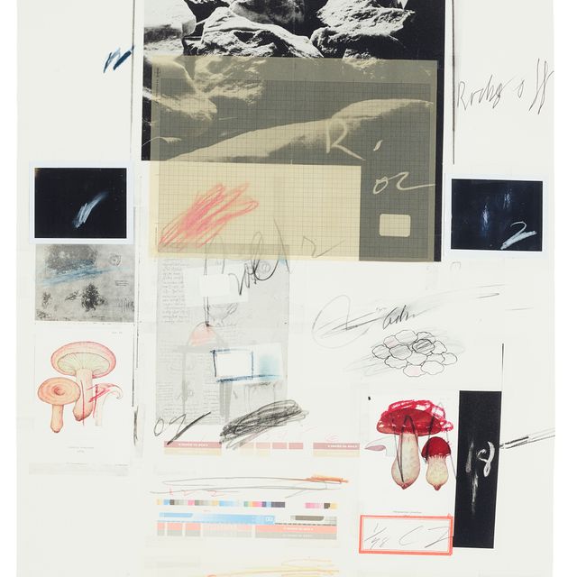 Cy Twombly — № X, из первой части "Естественной истории": Грибы