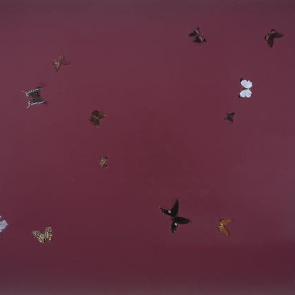 Damien Hirst — Прекрасный Поступок