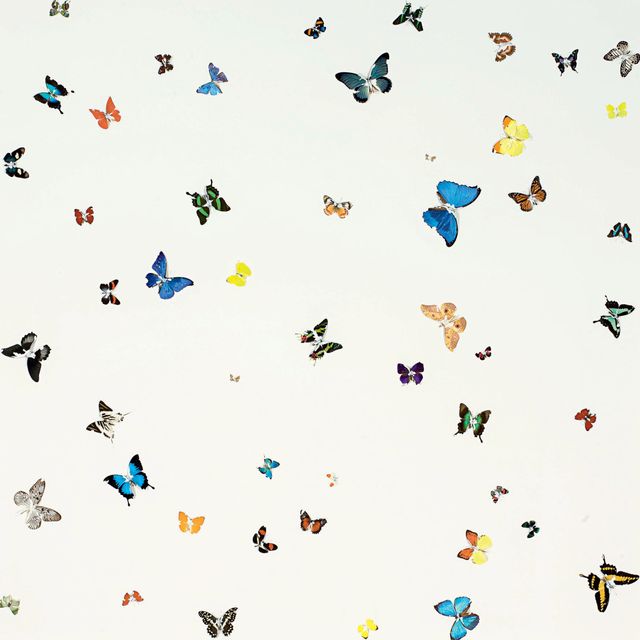 Damien Hirst — Чистый, как свежевыпавший снег