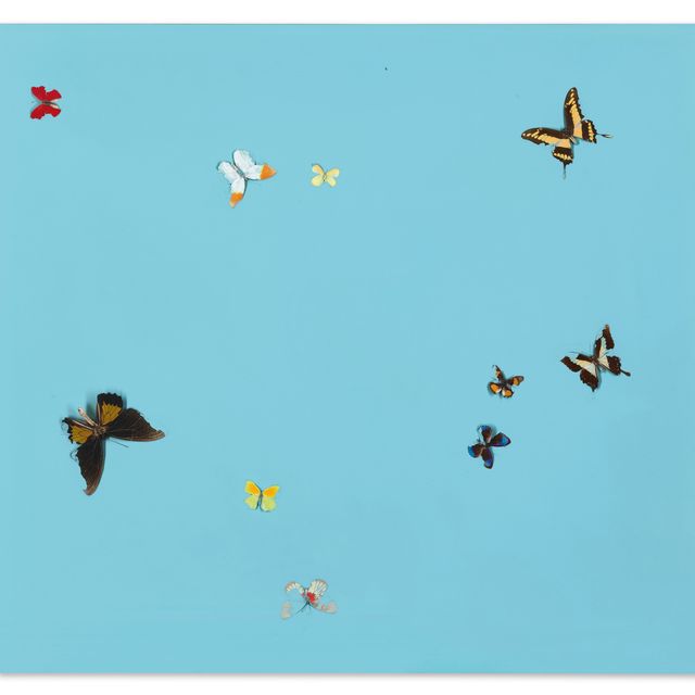 Damien Hirst — ты мне нужен