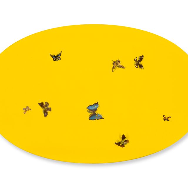 Damien Hirst — Без названия