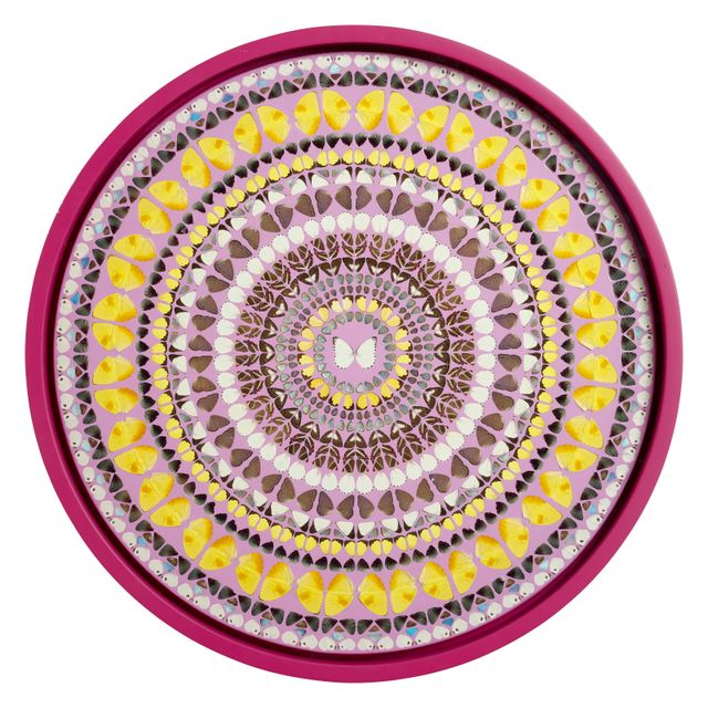 Damien Hirst — Пратьяхара