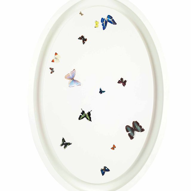 Damien Hirst — Нарциссическая любовь