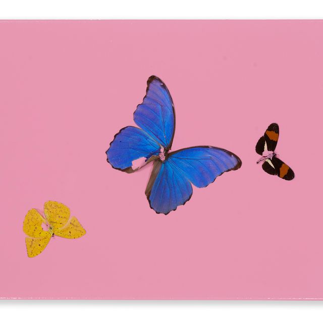 Damien Hirst — Игривый поцелуй с жевательной резинкой