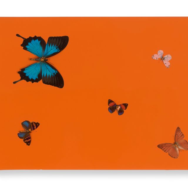 Damien Hirst — Острый Апельсиновый поцелуй