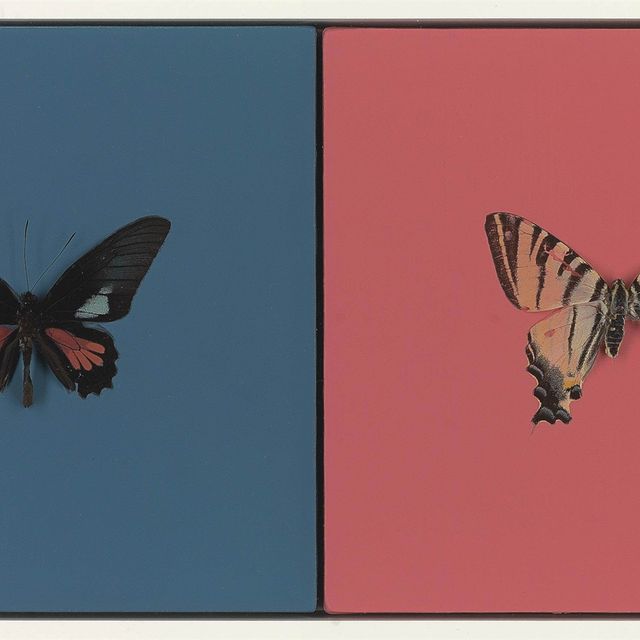 Damien Hirst — Любовь, Любовь