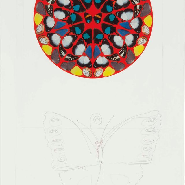 Damien Hirst — Слава