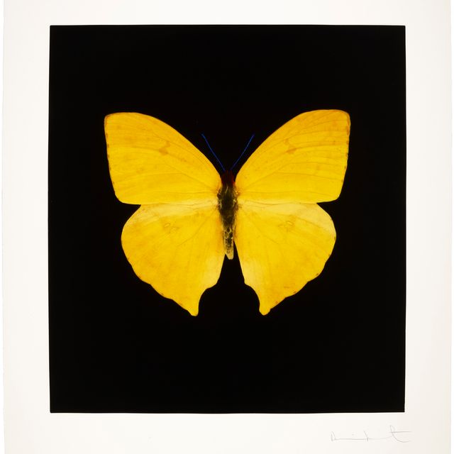 Damien Hirst — Души, поднимающиеся по Лестнице Иакова, совершают свой полет: Один отпечаток