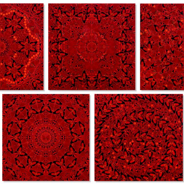Damien Hirst — Императрицы