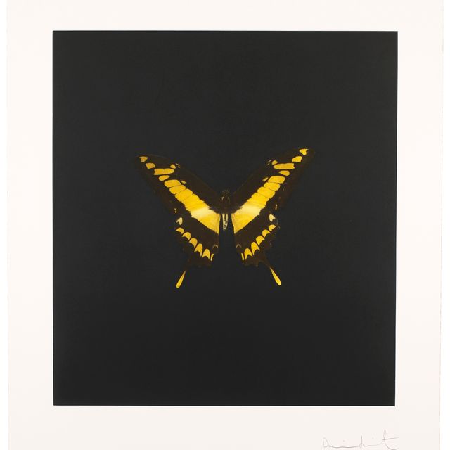 Damien Hirst — Фото 6, из фильма "Души на лестнице Иакова совершают свой полет".