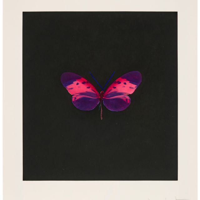 Damien Hirst — Фото 4, от: Memento