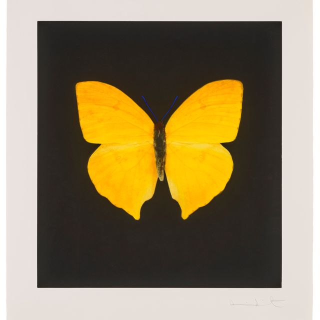 Damien Hirst — Фото 1, из фильма "Души на лестнице Иакова совершают свой полет".