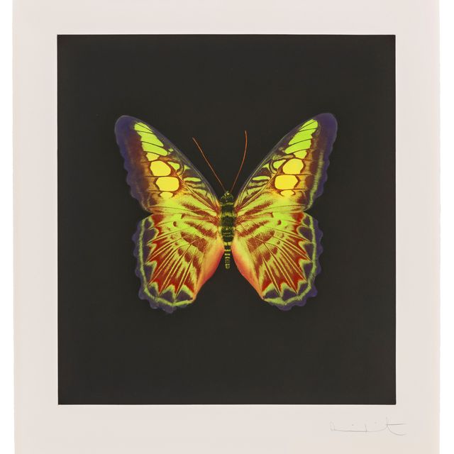 Damien Hirst — Фото 2, из фильма "Души на лестнице Иакова совершают свой полет".