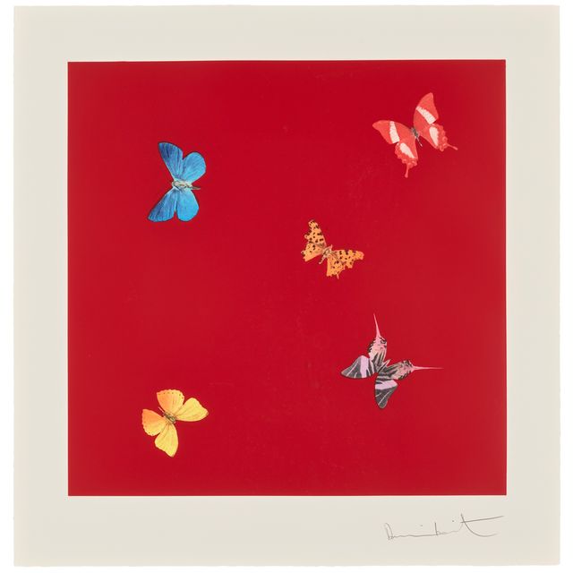 Damien Hirst — Она ходит в красоте, из: Любовные стихи