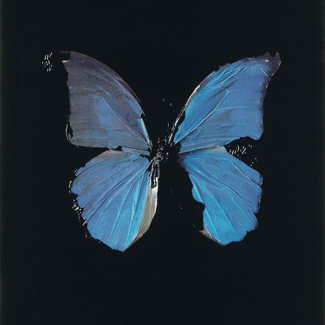 Damien Hirst — Душа на лестнице Иакова