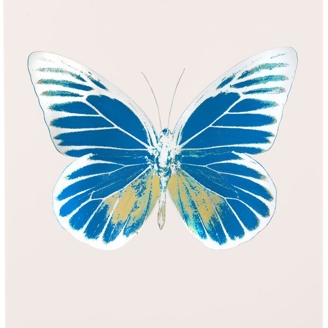 Damien Hirst — The Souls I - Бирюзовый/Холодный золотой/Серебристый блеск