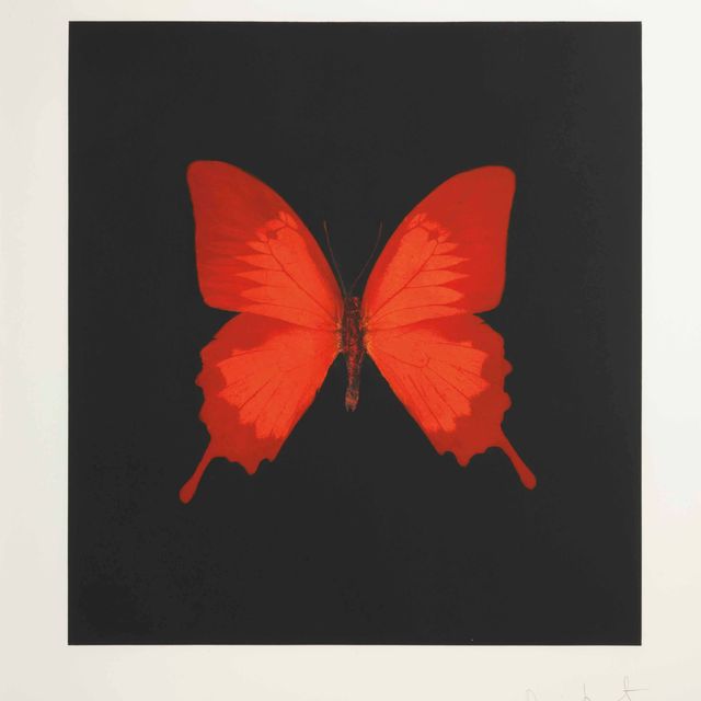 Damien Hirst — Души, поднимающиеся по Лестнице Иакова, Совершают Свой Полет: одна тарелка