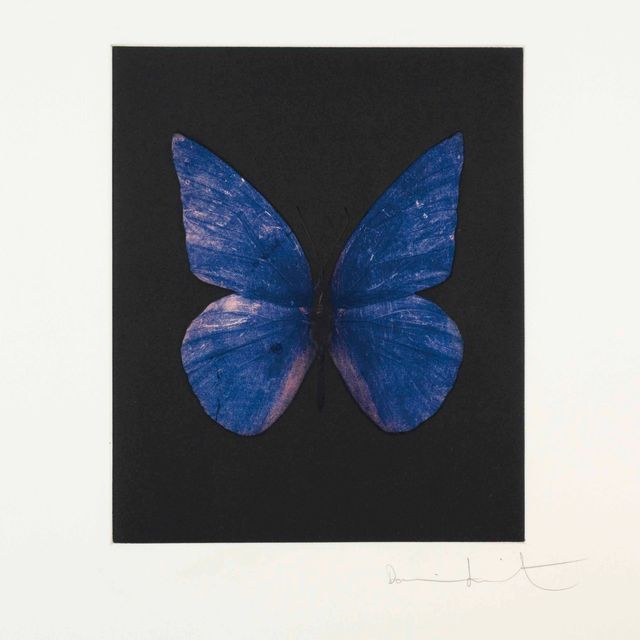 Damien Hirst — Обновление