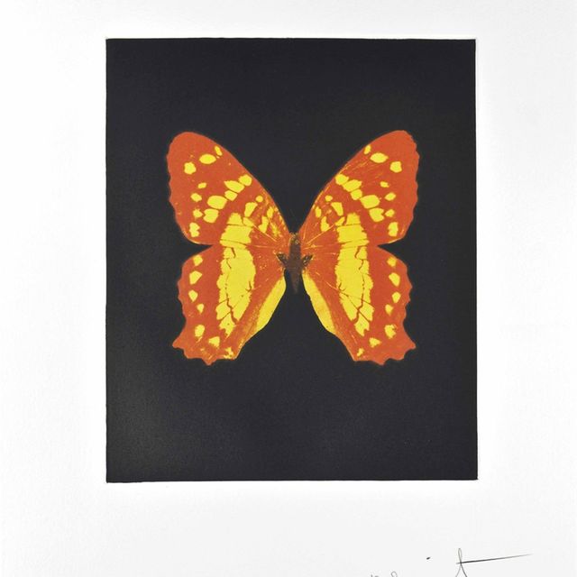 Damien Hirst — Всплывать