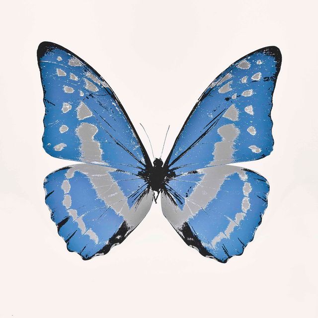 Damien Hirst — Души III