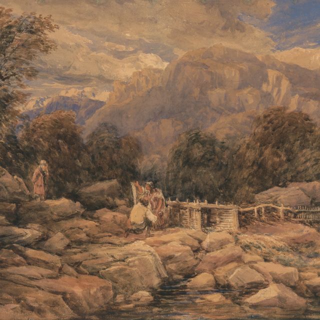 David Cox — Ловушка для лосося