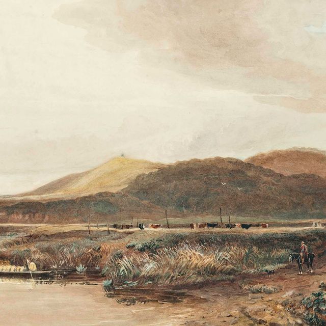 David Cox — Холм Динедор и лес Ротервас на реке Уай, Херефордшир