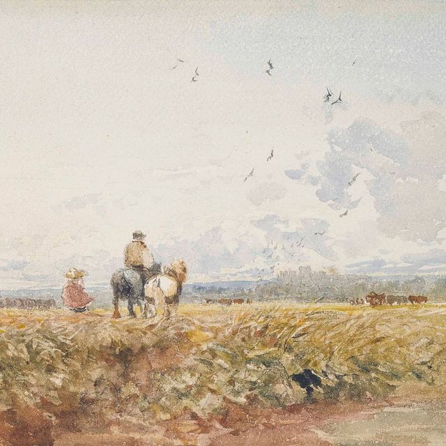David Cox — Возвращаемся домой