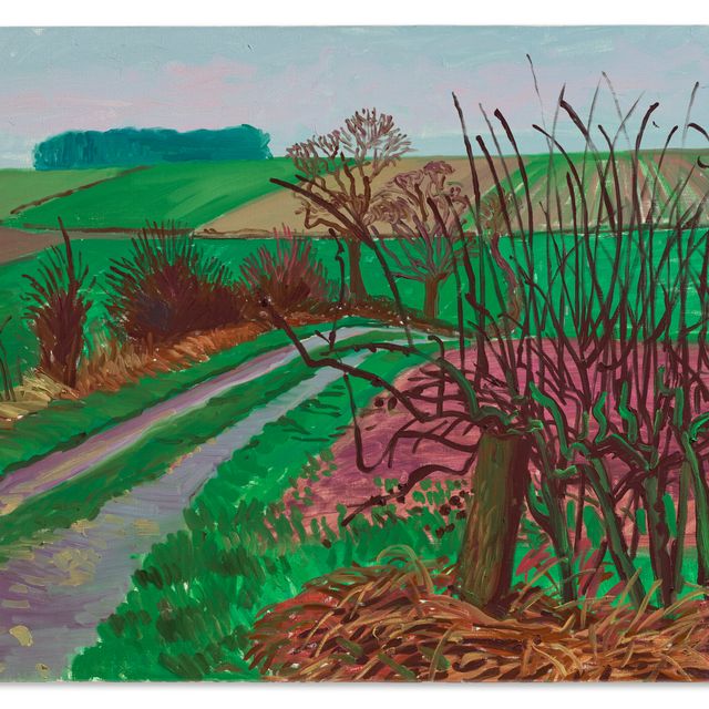 David Hockney — Дорожки и живая изгородь, январь