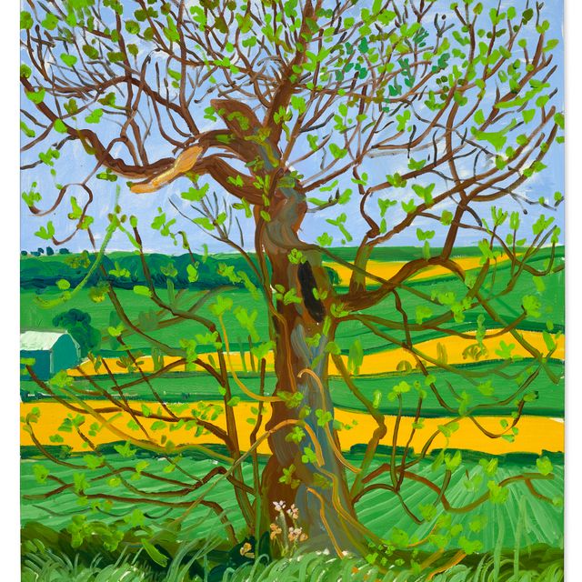 David Hockney — Дерево Уолдгейт, май