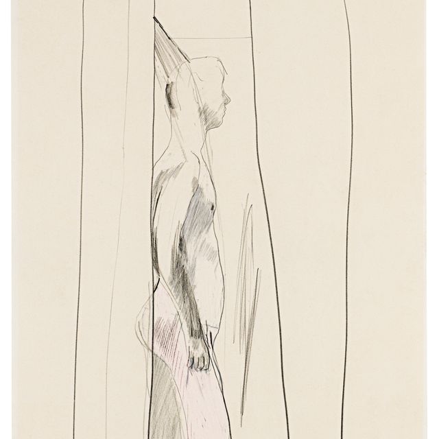 David Hockney — Душевой кабинет 2