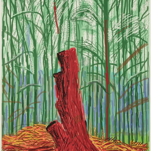 David Hockney — Приход весны в Уолдгейт, Восточный Йоркшир, в 2011 году (двадцать одиннадцать часов) - 25 февраля