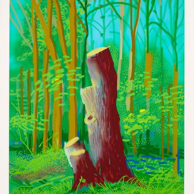 David Hockney — Приход весны в Уолдгейт, Восточный Йоркшир, в 2011 году (двадцать одиннадцать) - 24 апреля 2011
