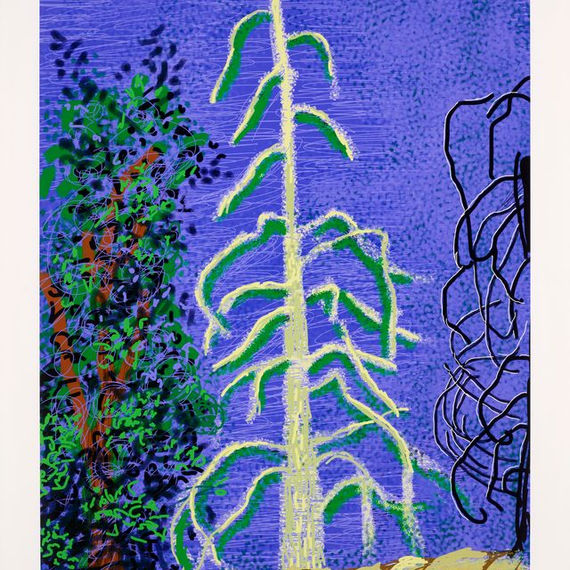 David Hockney — Без названия, № 14, из "Йосемитского набора"