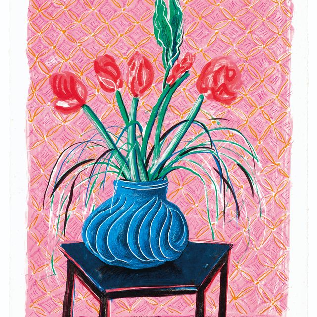 David Hockney — Амариллис в вазе, из движущегося фокуса