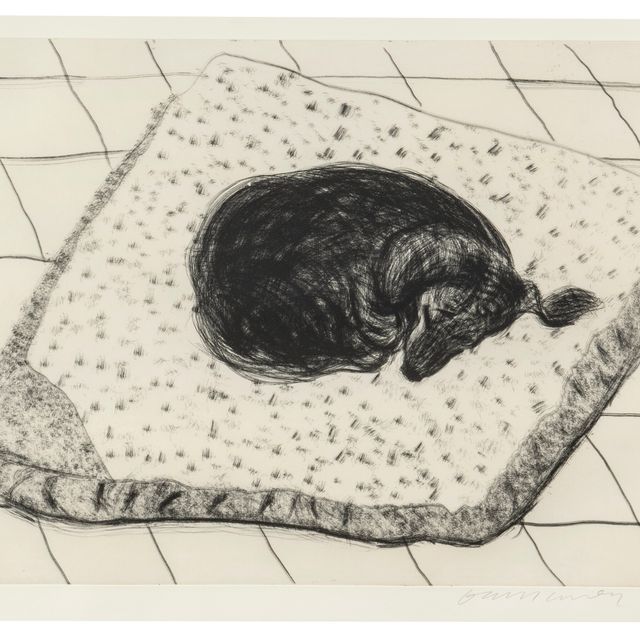 David Hockney — Собачья стенка: Одна тарелка