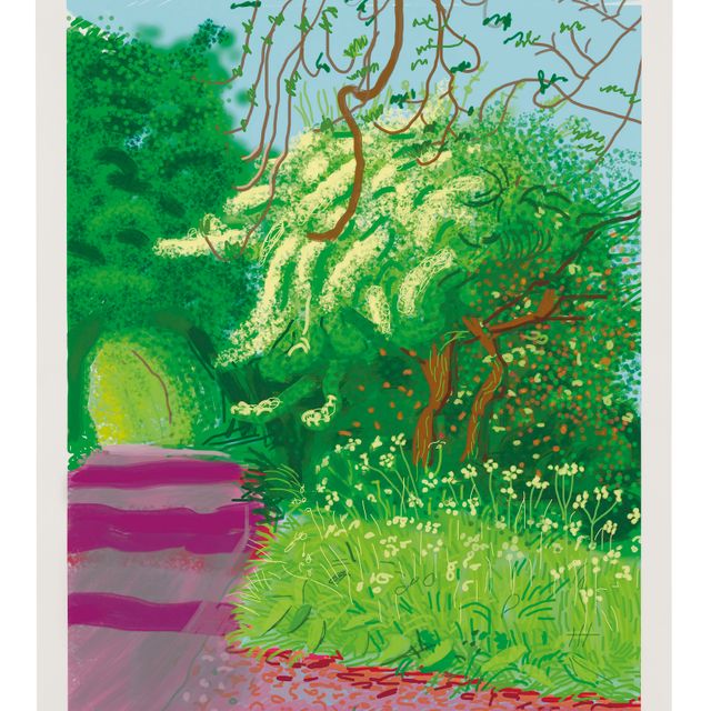 David Hockney — Приход весны в Уолдгейт, Восточный Йоркшир, в 2011 году (двадцать одиннадцать) - 14 мая 2011