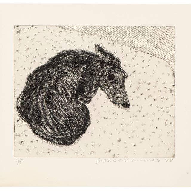 David Hockney — Собачья стенка: Одна тарелка