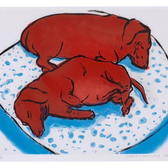 David Hockney — Горизонтальные собачки