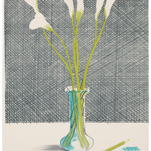 David Hockney — Лилии