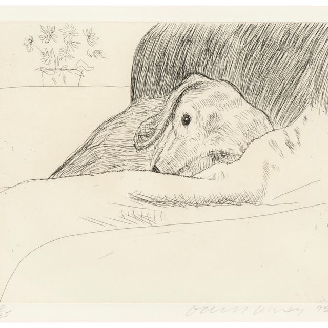David Hockney — Собачья стенка: Одна тарелка