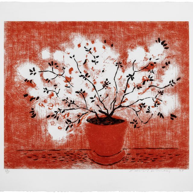 David Hockney — Растение из красной проволоки, с недавних гравюр